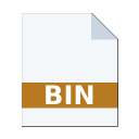 .BIN icon
