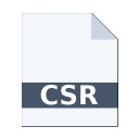 .CSR icon